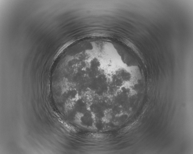 X0000077990829200611171752