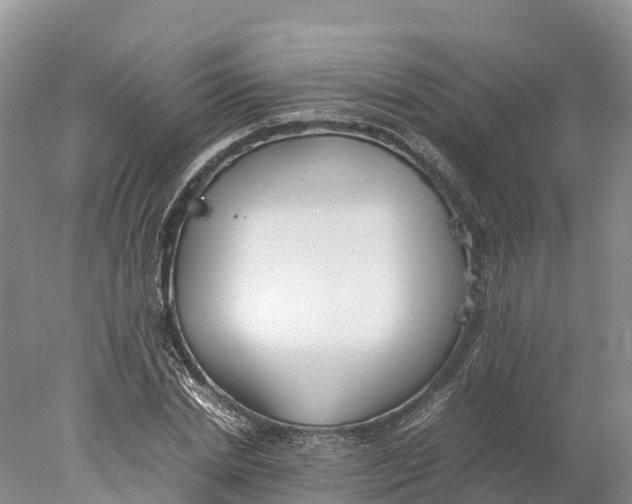 X0000077990830200611171752