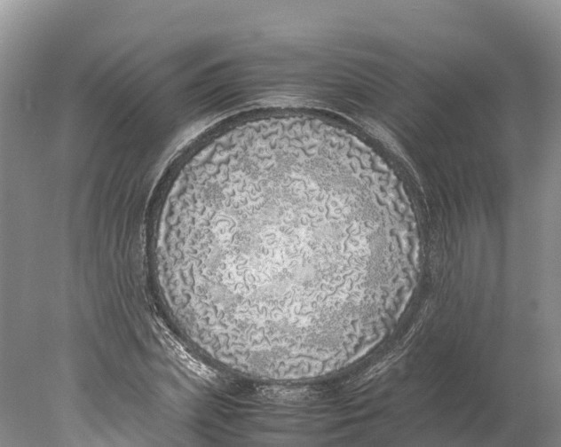 X0000077990831200611171752