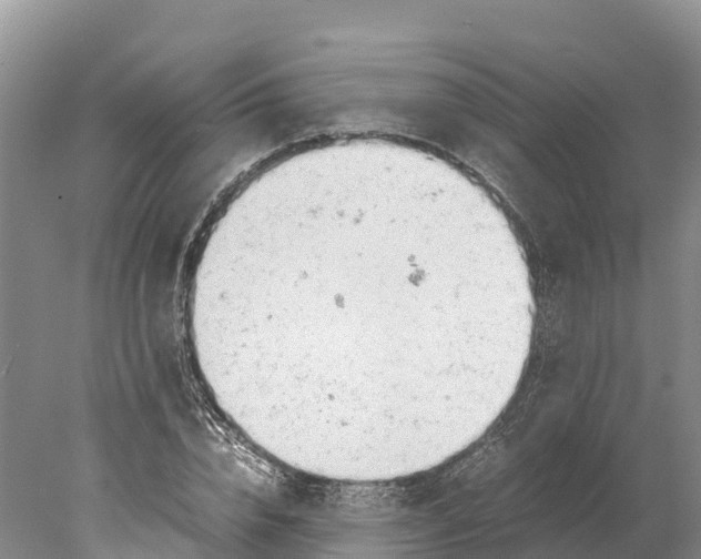 X0000077990832200611171752