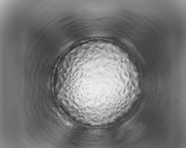 X0000077990833200611171752