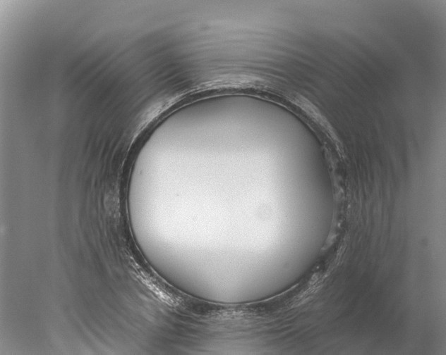 X0000077990834200611171752