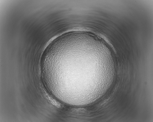 X0000077990837200611171752