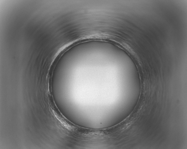 X0000077990838200611171752