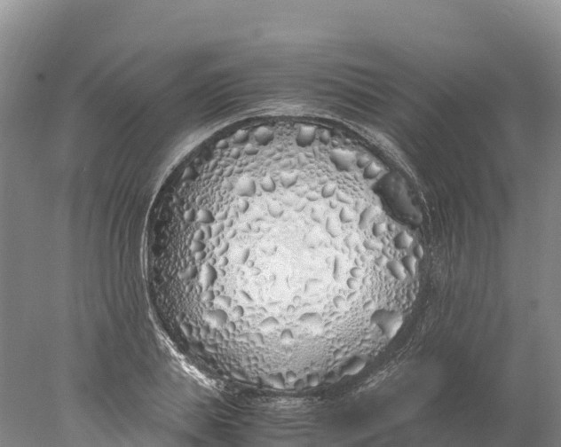 X0000077990839200611171752