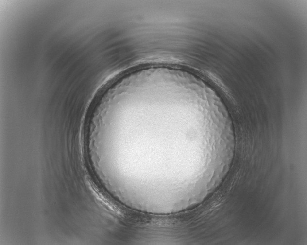 X0000077990840200611171752