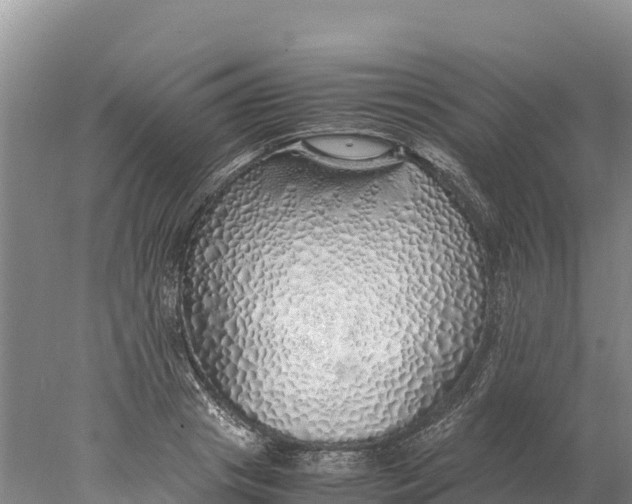 X0000077990841200611171752