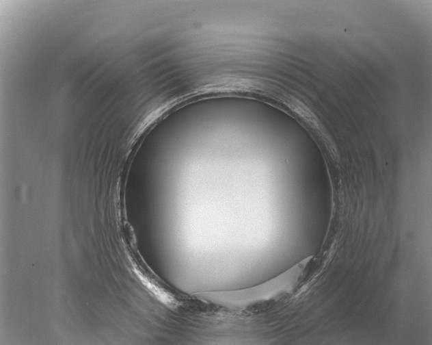 X0000077990842200611171752