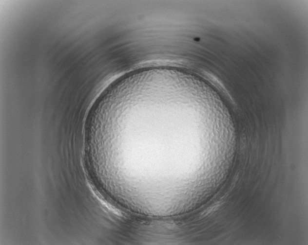 X0000077990844200611171752