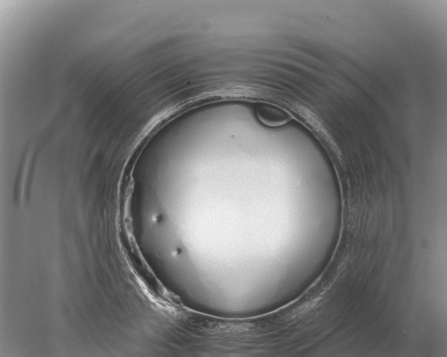 X0000077990845200611171752