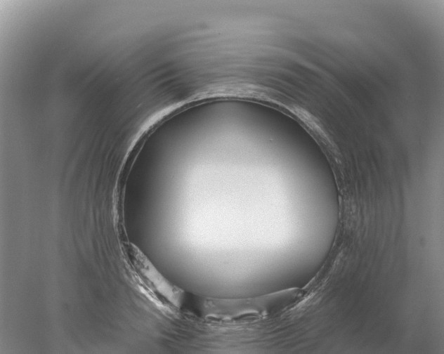 X0000077990846200611171752