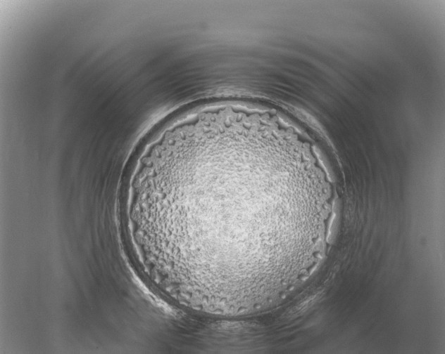 X0000077990847200611171752