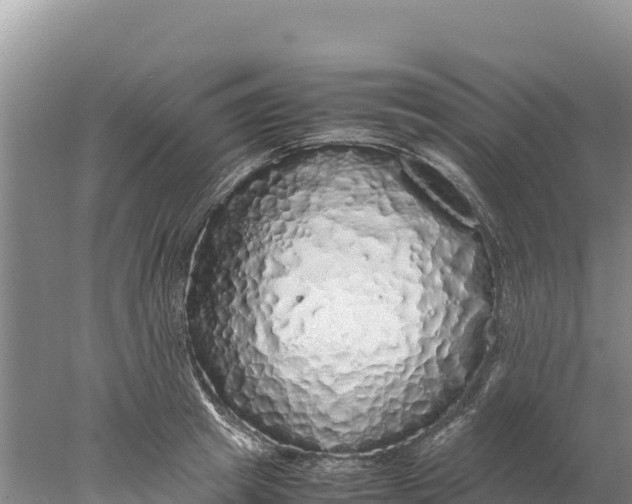 X0000077990849200611171752