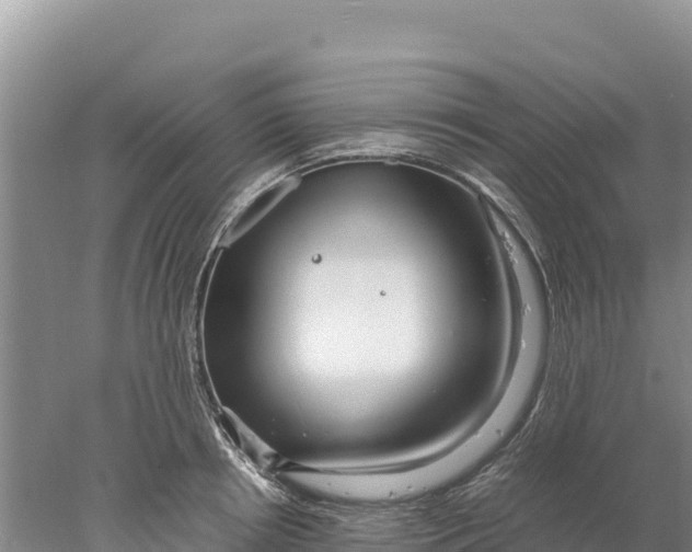 X0000077990850200611171752