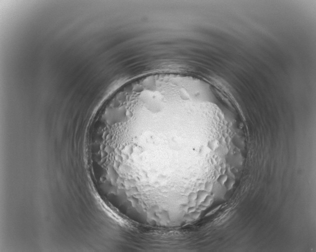 X0000077990851200611171752