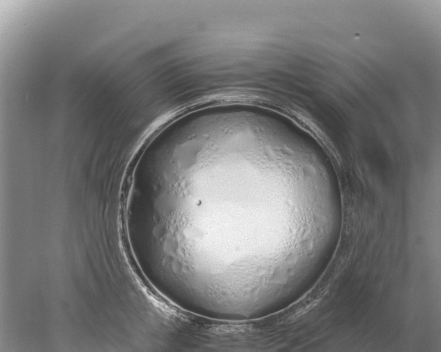 X0000077990853200611171752