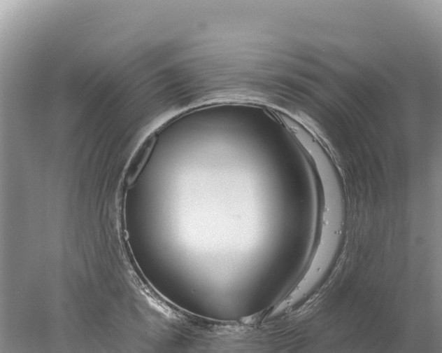 X0000077990854200611171753