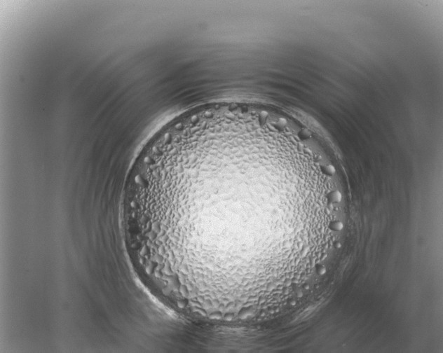 X0000077990855200611171753