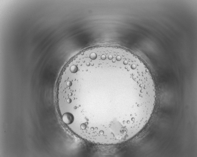 X0000077990856200611171753