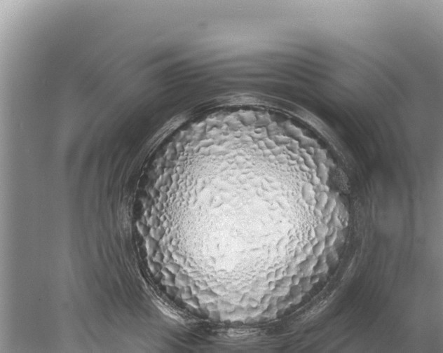 X0000077990857200611171753