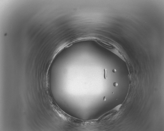 X0000077990858200611171753