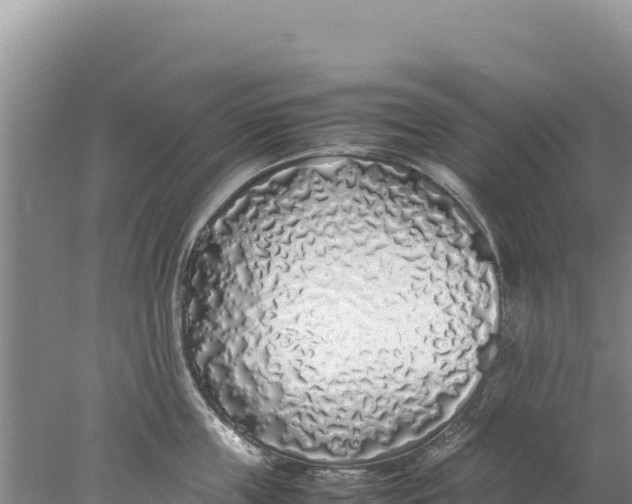 X0000077990859200611171753