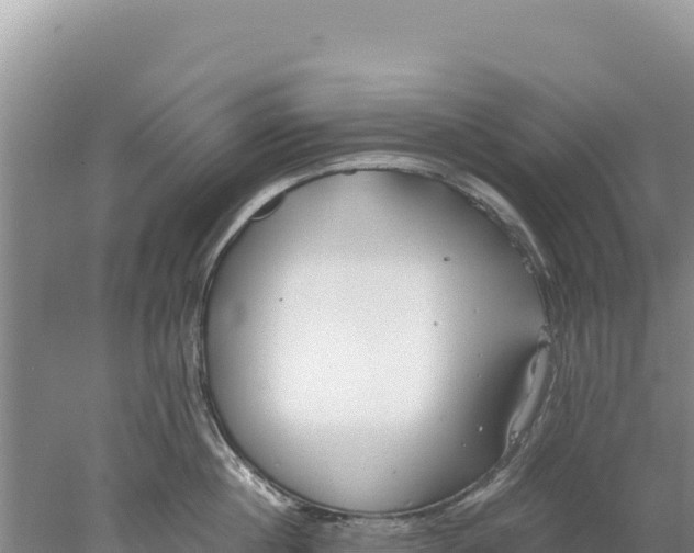 X0000077990860200611171753