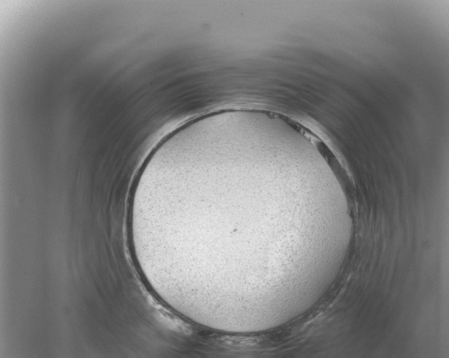 X0000077990861200611171753