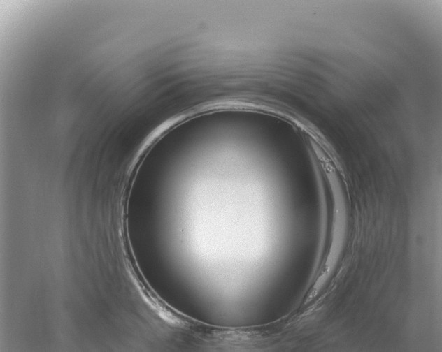 X0000077990862200611171753