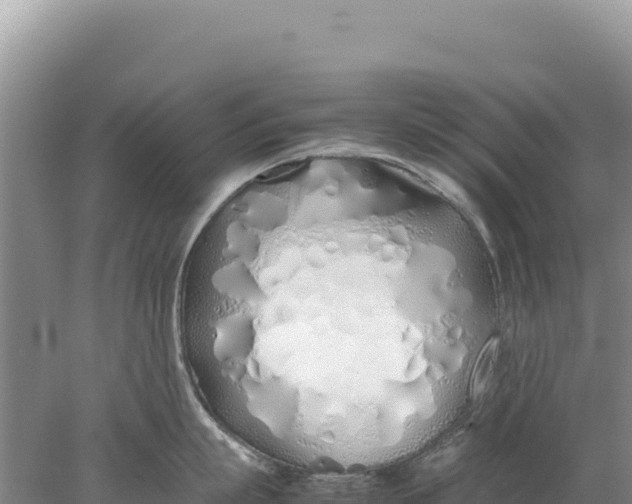 X0000077990863200611171753