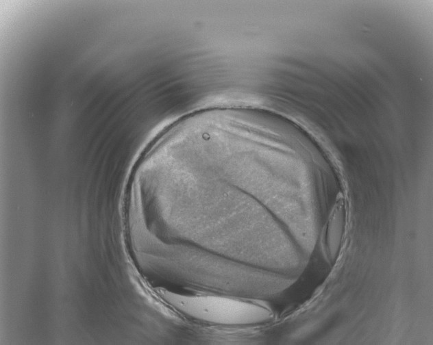 X0000077990864200611171753