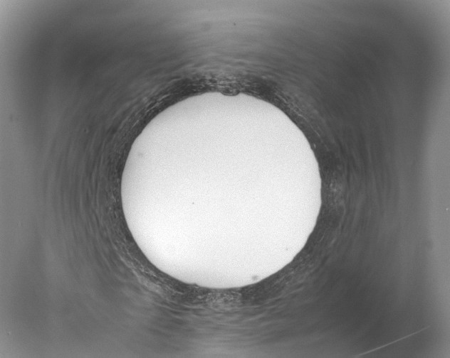 X0000077990865200611171752