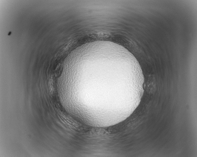 X0000077990866200611171752