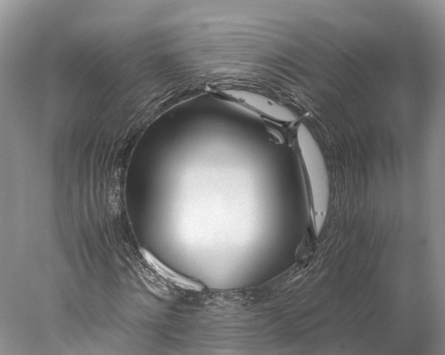 X0000077990868200611171752