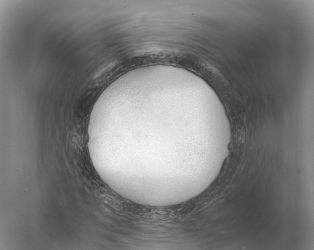 X0000077990869200611171752