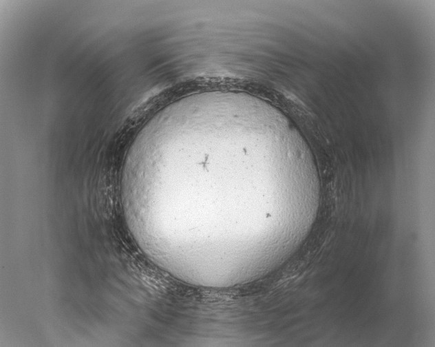 X0000077990870200611171752