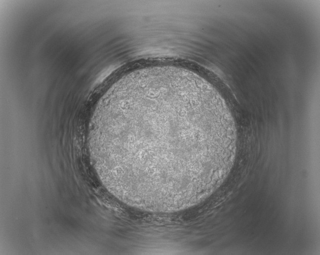 X0000077990871200611171752