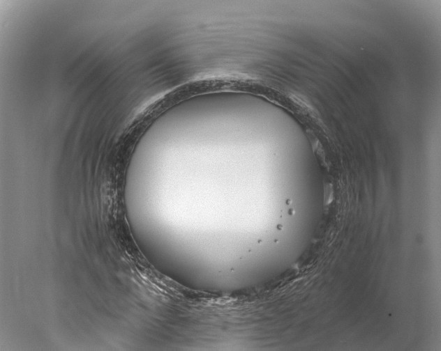 X0000077990872200611171752