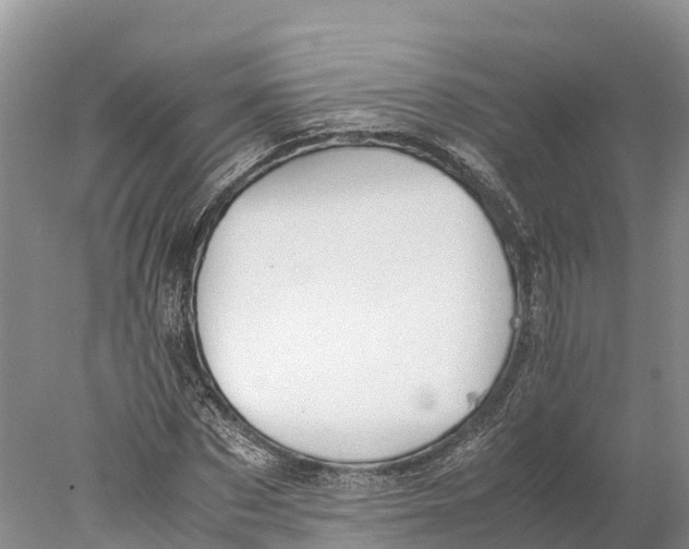 X0000077990873200611171752