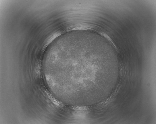 X0000077990874200611171752