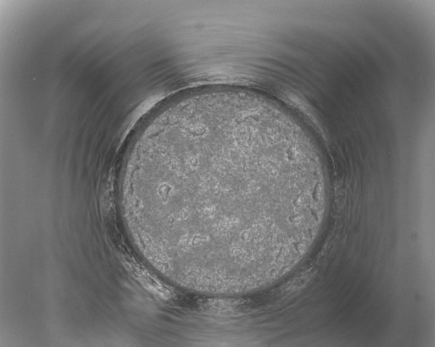 X0000077990875200611171752