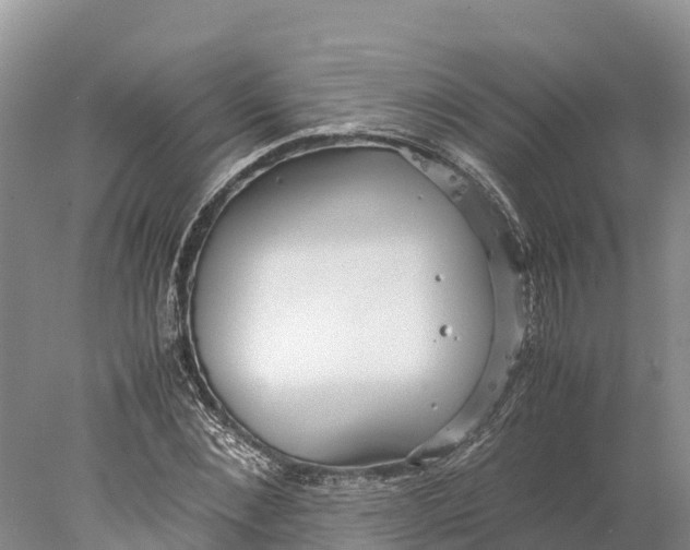 X0000077990876200611171752