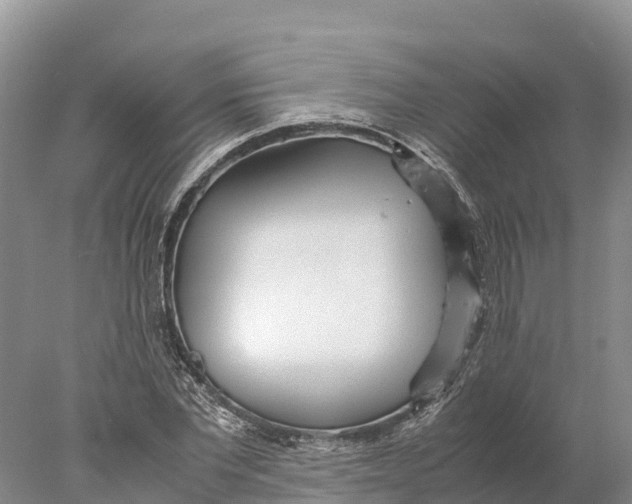 X0000077990877200611171752