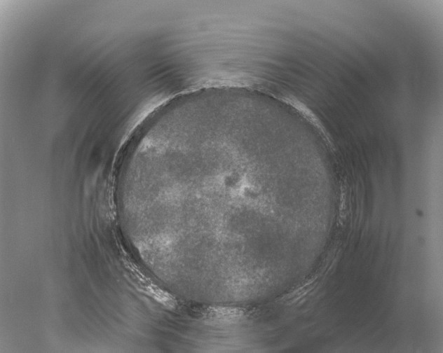 X0000077990878200611171752