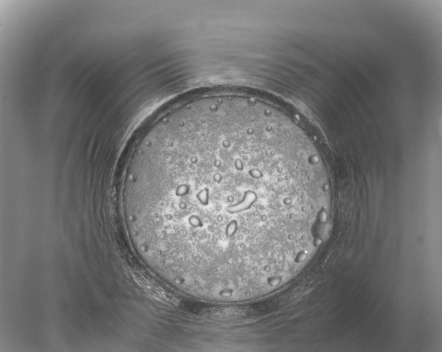 X0000077990879200611171752