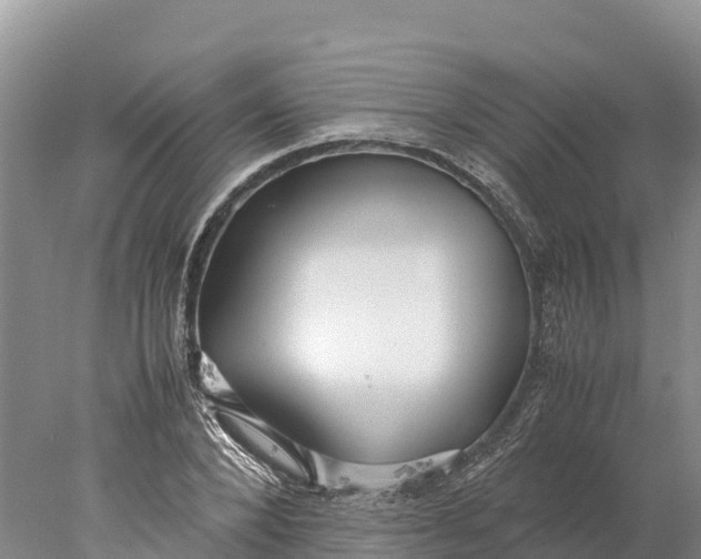 X0000077990880200611171752