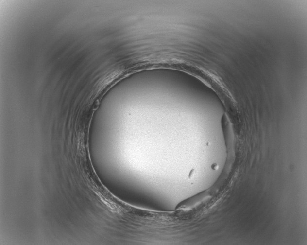 X0000077990881200611171752