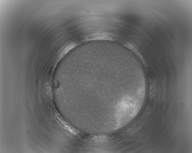 X0000077990882200611171752