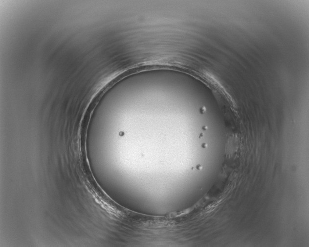 X0000077990884200611171752