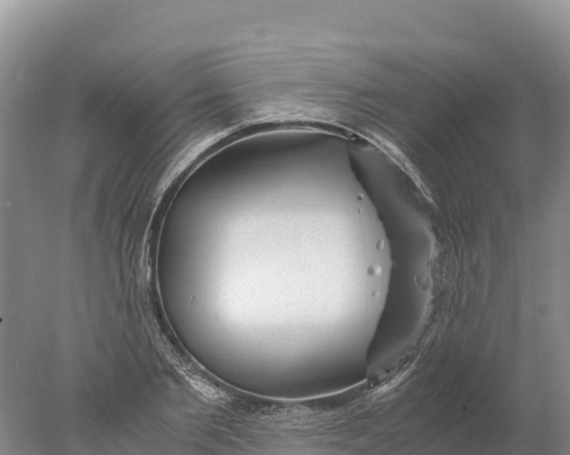 X0000077990885200611171752